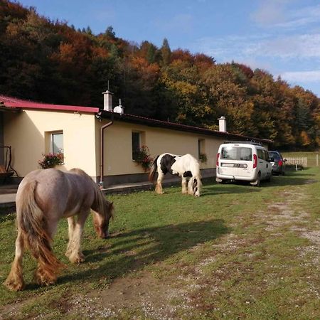 Oddychovy Pobyt Na Rodinnej Farme Matiaska Bagian luar foto