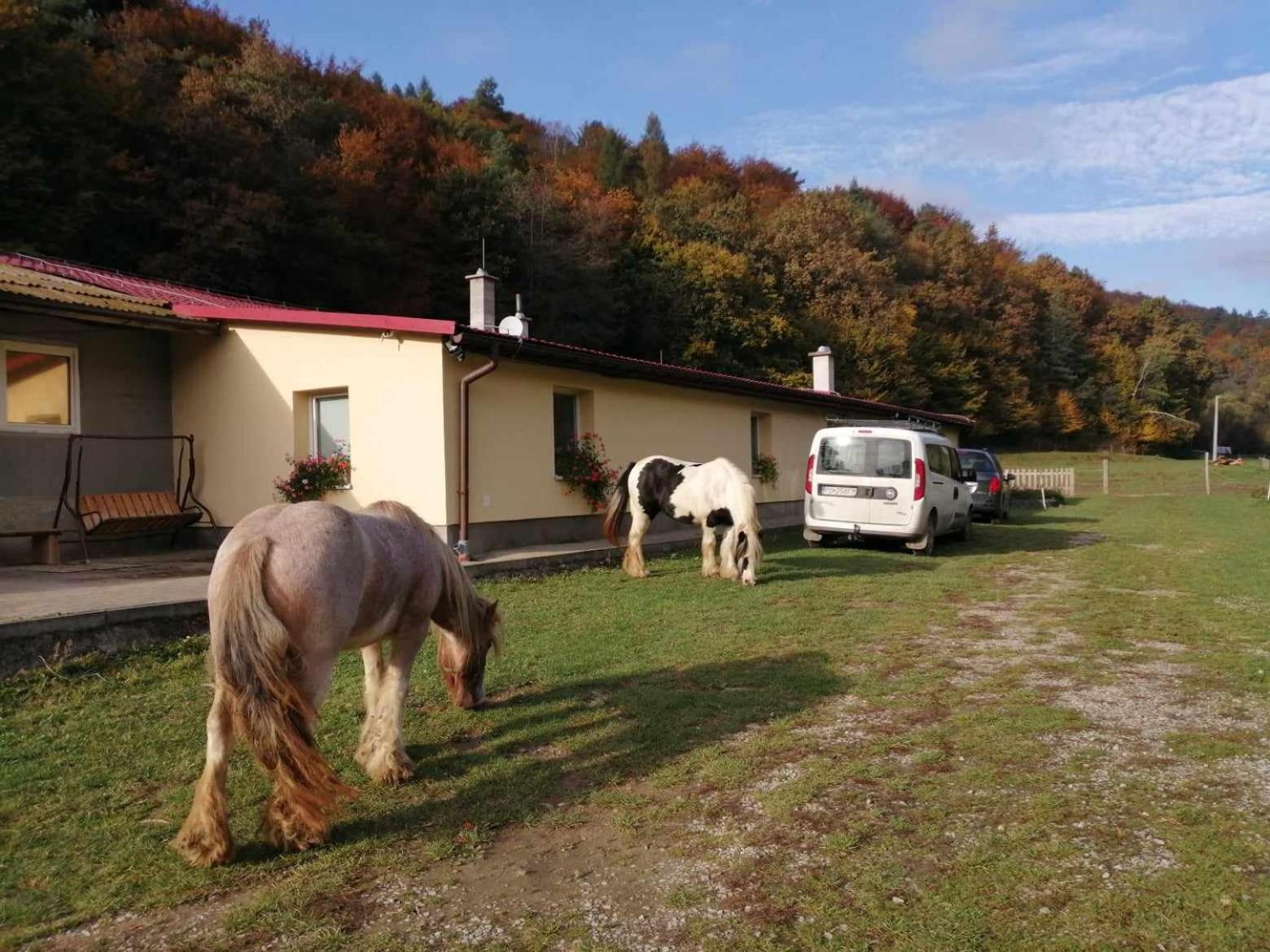 Oddychovy Pobyt Na Rodinnej Farme Matiaska Bagian luar foto