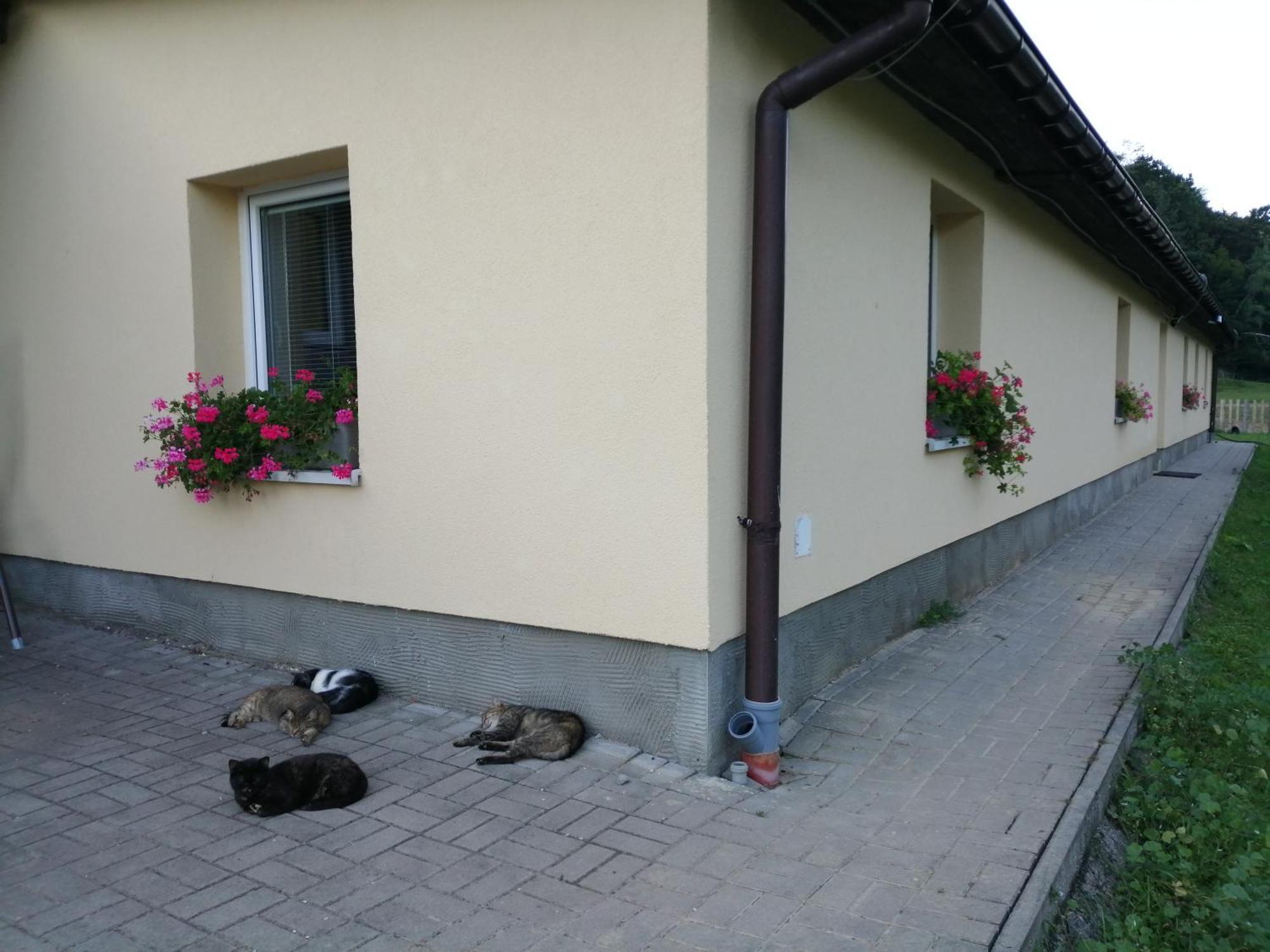 Oddychovy Pobyt Na Rodinnej Farme Matiaska Bagian luar foto